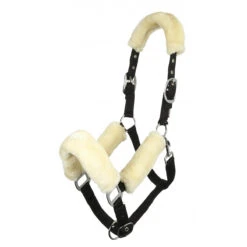 LeMieux Comfort Head Collar -Sabandar Store 0aa62e7e78fe7886d82d20bdc976fc81.image .1200x1200