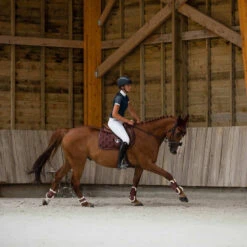 Shop Horze Graz Tendon Boots In Rum & Raisin For Horses -Sabandar Store 1 Horse T Horze Graz Tendon Boots Rum Raisin 9