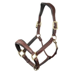 Leather Stitch Headcollar By LeMieux -Sabandar Store 3b0269a7d354978989c6584d931dfdb8.image .1200x1200 e2778ab9 524f 485c 98ef e41881f36058