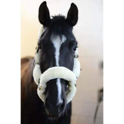 Sheepskin Shipping Halter -Sabandar Store 42502 G 570x856 25577fbf 970e 4a9a 8c26 a7e446a5a3ea