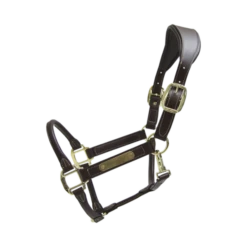 Kentucky Horsewear Anatomic Halter -Sabandar Store 42513 05