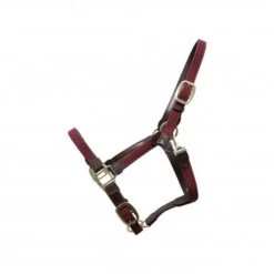 Kentucky Plaited Nylon Halter -Sabandar Store 42516 17 51cfe907 101e 4cd5 a422 6fa39dcc5315