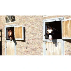 Kentucky 4-Piece Sheepskin Halter Set -Sabandar Store 42607 42603 0 6b00214d 411f 4148 8d96 496300641c56