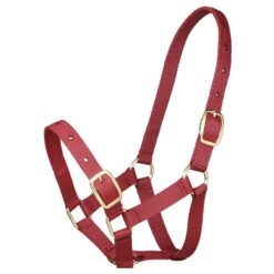 Gymkhana Foal Halter -Sabandar Store 544900