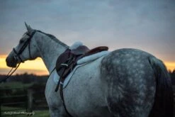 Sheepskin Comfort Half Pad - Trifecta -Sabandar Store 7024whiteatdusk scaled 1