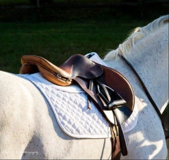 Cotton Half Pad In Trifecta Design -Sabandar Store 7306 white hunter saddle web