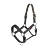 New LeMieux Breakaway Headcollar For Safe And Secure Horse Handling -Sabandar Store 8e05f5c67a6936f67680cb099a020711.image .1200x1200 d77cddf7 3a84 47c9 88d3 bd2c1e13157c