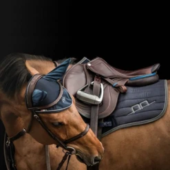 Alessandro Albanese Platinum Ear Nets