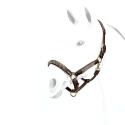 Equipe Leather Halter With Braid Detail