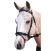 Bridle Hanoverian Stars And Stones Black -Sabandar Store Bridle Hanoverian Stars And Stones Black