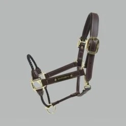 Kentucky Rope Leather Halter -Sabandar Store CONTROL1 15b5308f 1272 446a a2af 9db8b96a88c6