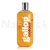 Shampoo Cdm Gallop Colour Chestnut & Palomino 500ml -Sabandar Store Cdm Gallop Colour Shampoo Chestnut Palomino 500ml