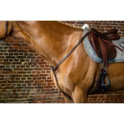 Dy'on D Collection Brown Breastplate