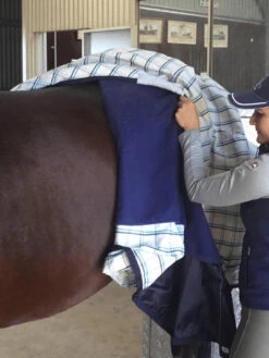 Dual Season Fleece Lined Rug Earlwood