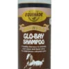 Shampoo Equinade Glo Bay 500ml -Sabandar Store Equinade Glo Bay 500ml