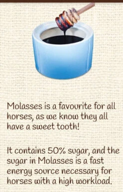 Horse Treat Equine Pure Delights Apple Cinnamon Molasses -Sabandar Store Equine Pure Delights Treat Apple Cinnamon Molasses 8