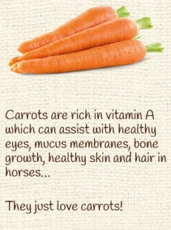 Horse Treat Equine Pure Delights Carrot Mint Turmeric Chia -Sabandar Store Equine Pure Delights Treat Carrot Mint Turmeric Chia 3