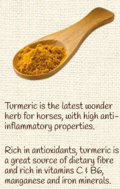 Horse Treat Equine Pure Delights Carrot Mint Turmeric Chia -Sabandar Store Equine Pure Delights Treat Carrot Mint Turmeric Chia 5