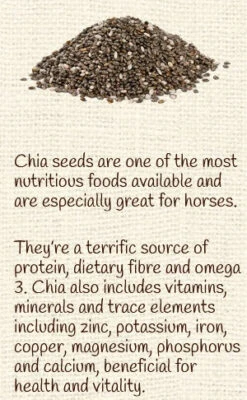 Horse Treat Equine Pure Delights Carrot Mint Turmeric Chia -Sabandar Store Equine Pure Delights Treat Carrot Mint Turmeric Chia 6