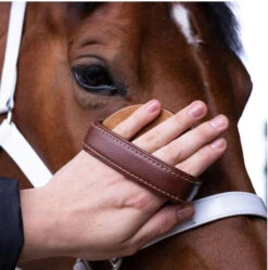 Hairy Pony Brush Face -Sabandar Store Hairy Pony Brush Face 5