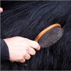 Hairy Pony Brush Mane & Tail -Sabandar Store Hairy Pony Brush Mane Tail 3