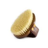 Hairy Pony Brush Mud -Sabandar Store Hairy Pony Brush Mud
