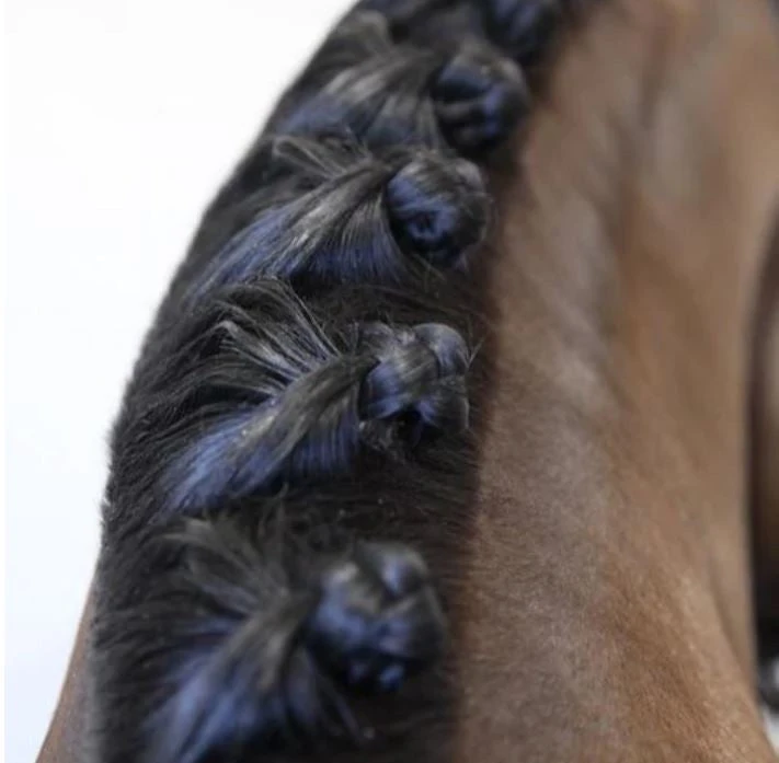 Hairy Pony Mane Sectioning Comb 5 Hairy Pony Mane Sectioning Comb - Image 3