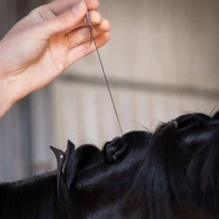 Hairy Pony Plaiting Thread Flat Waxed Small -Sabandar Store Hairy Pony Plaiting Thread Flat Waxed Small 3
