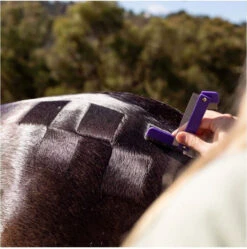 Hairy Pony Quarter Mark Comb -Sabandar Store Hairy Pony Quarter Mark Comb 3