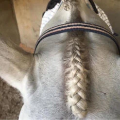 Hairy Pony Scissors Fastening 7 Hairy Pony Scissors Fastening -Sabandar Store Hairy Pony Scissors Fastening 2