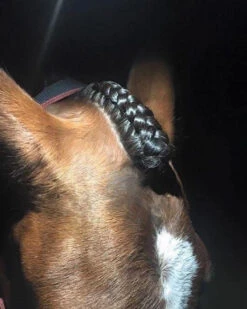 Hairy Pony Scissors Fastening 8 Hairy Pony Scissors Fastening -Sabandar Store Hairy Pony Scissors Fastening 3