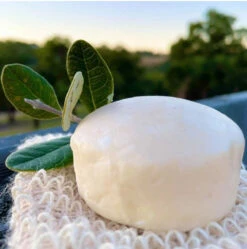 Hairy Pony Shampoo Bar Original -Sabandar Store Hairy Pony Shampoo Bar Original 5