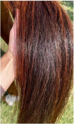 Hairy Pony Silky Serum -Sabandar Store Hairy Pony Silky Serum 2