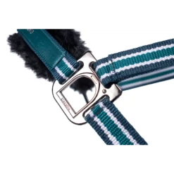 Cavallo HELIA Fleece Halter -Sabandar Store HeliaPetrolbuckle 98c21913 0508 4cb8 ad52 ebc4ee9cc9bf