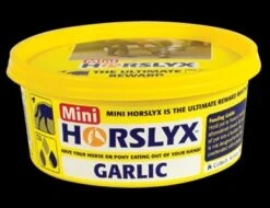 Horslyx Garlic Mini Vitamin & Mineral Lick 650gm