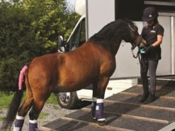 Horslyx Original Mini Vitamin & Mineral Lick 650gm -Sabandar Store Horslyx Original Mini Vitamin Mineral Lick 650gm 3