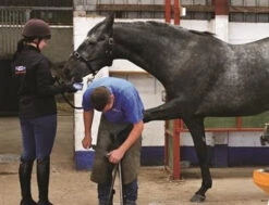 Horslyx Original Mini Vitamin & Mineral Lick 650gm -Sabandar Store Horslyx Original Mini Vitamin Mineral Lick 650gm 4