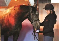 Horslyx Original Mini Vitamin & Mineral Lick 650gm -Sabandar Store Horslyx Original Mini Vitamin Mineral Lick 650gm 5