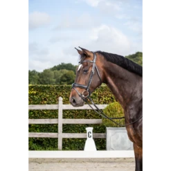 Sabandar Store 9 Dy'on New English Collection - Matte Medium Noseband Bridle With Flash - Black Full