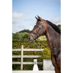 Dy'on New English Collection - Black Patent Large Crank Noseband With Flash - Full