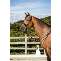 Dy'on Round Leather Patent Large Crank Noseband Double Bridle Black Full