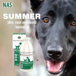 Natural Animal Solutions Dermal Oil 100ml -Sabandar Store Natural Animal Solutions Dermal Oil 100ml 3