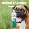 Natural Animal Solutions Shampoo Sensitive 375ml -Sabandar Store Natural Animal Solutions Shampoo Sensitive 375ml