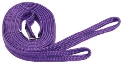 Reins Nylon Loop End 7/8