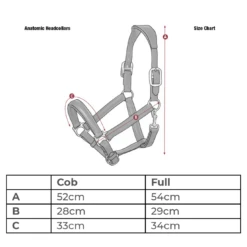 Leather Stitch Headcollar By LeMieux -Sabandar Store Screenshot 20220301 124416 fe784b72 77ff 40c7 8f61 fa9517e103be