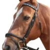 Bridle Hanoverian Linking Horsehead Showcraft Black -Sabandar Store Showcraft Bridle Linking Horsehead Hanoverian Black