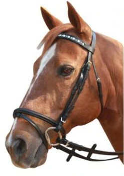 Bridle Hanoverian Linking Horsehead Showcraft Black