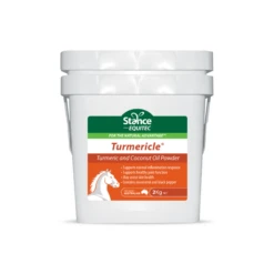 Stance Equitec Turmericle 5 Stance Equitec Turmericle -Sabandar Store StanceEquitecTumericle 071af34d c4fa 4d9a 8550 bd9e31979f91