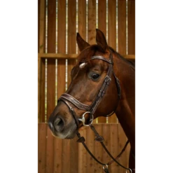 Working By Dy'on - Working Fit Bridle - Brown Full