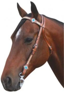 Bridle Western Stones Full